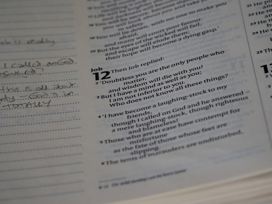 스픽 영어 취준생 추천