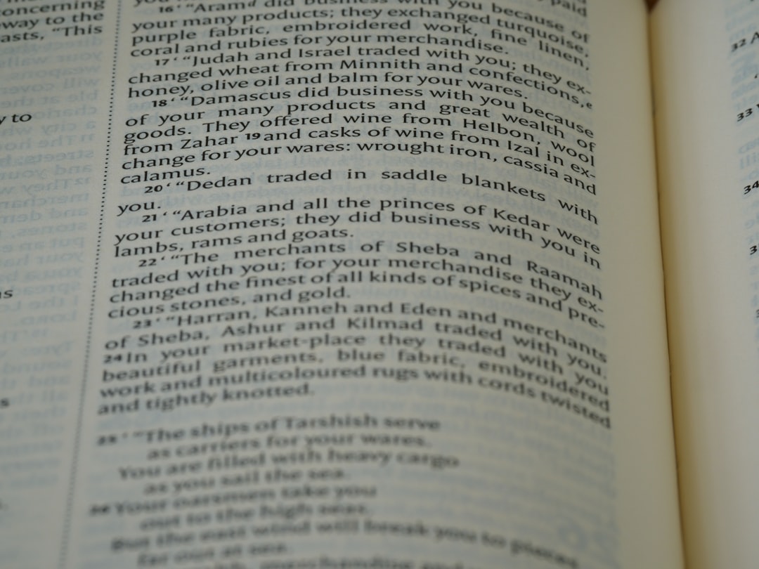 스픽 영어 왕초보 추천