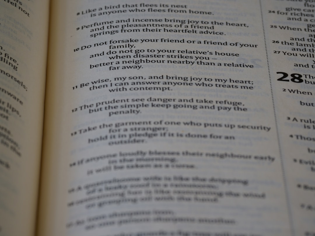 스픽 영어 왕초보 추천