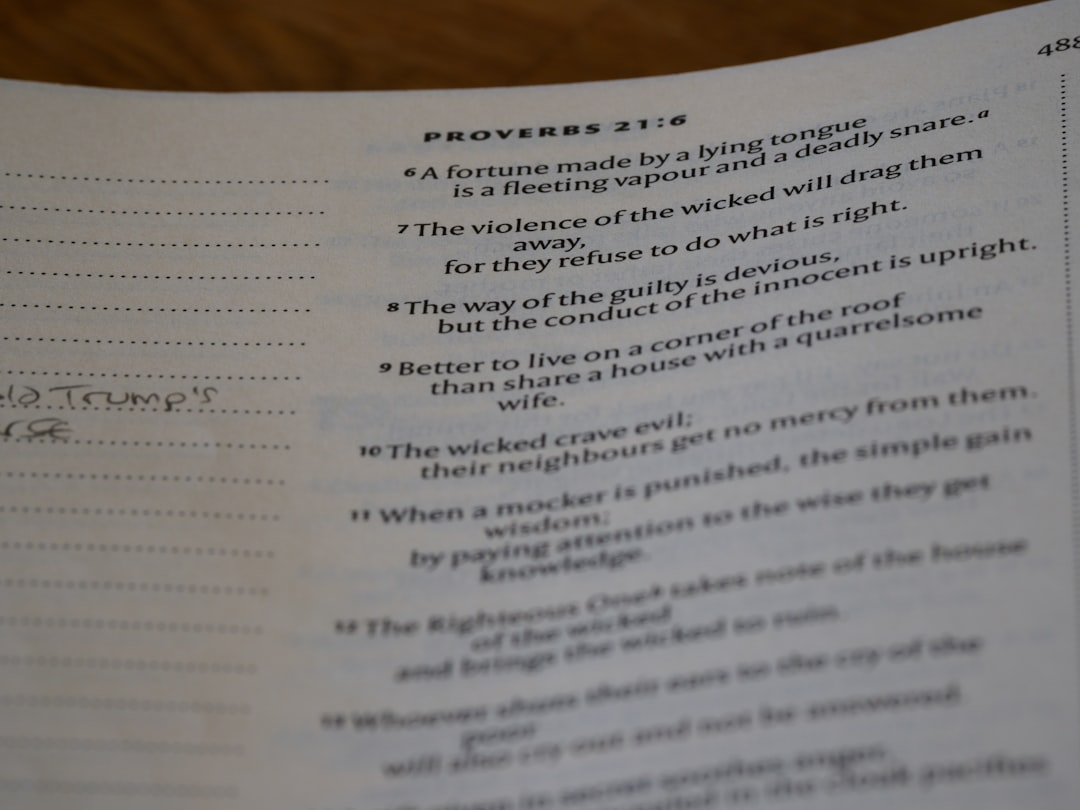 스픽 영어 왕초보 추천