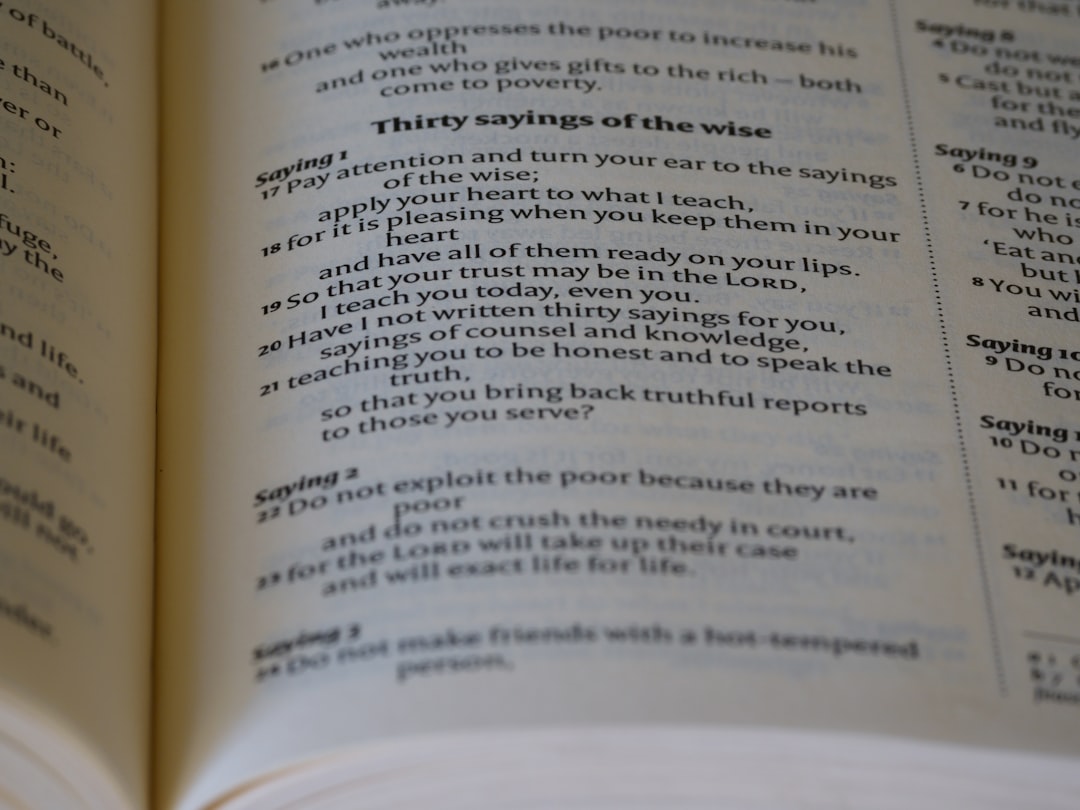 스픽 영어 왕초보 추천