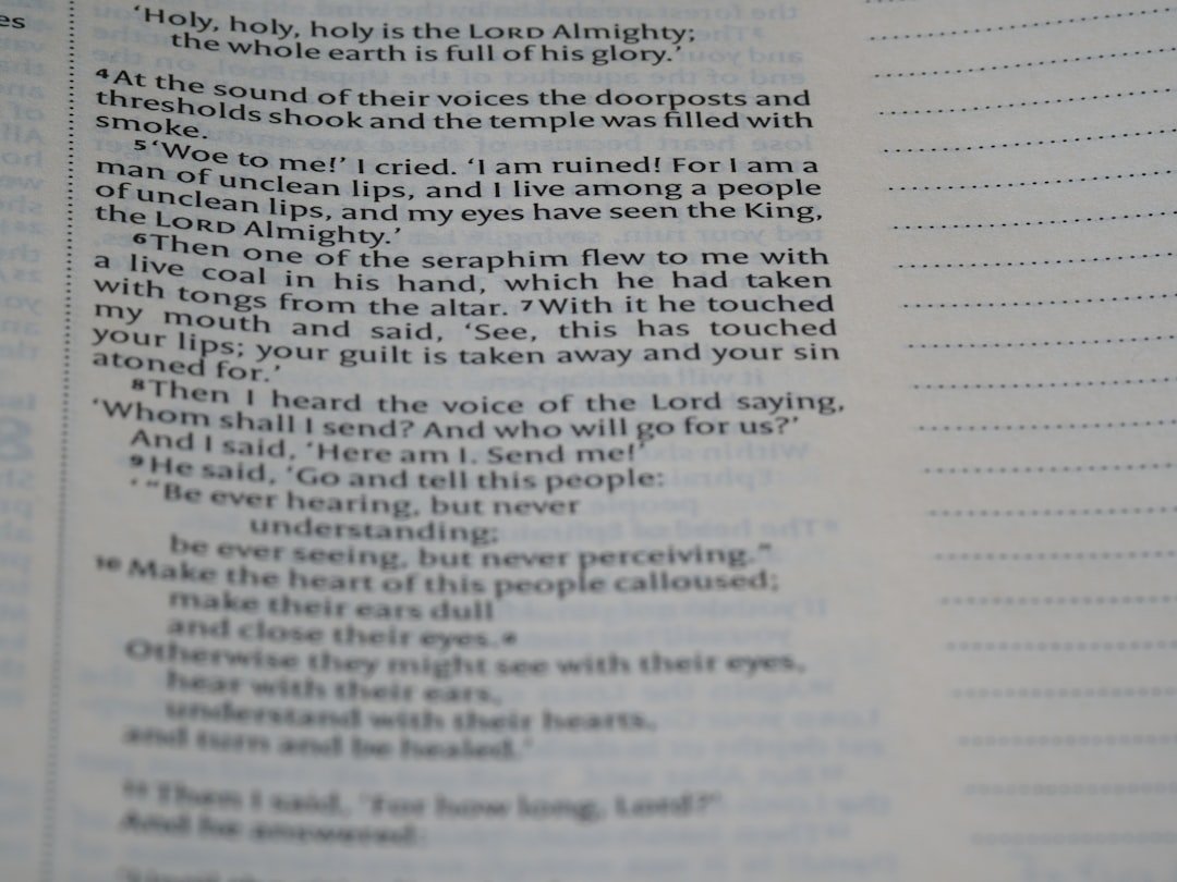 스픽 영어 왕초보 추천