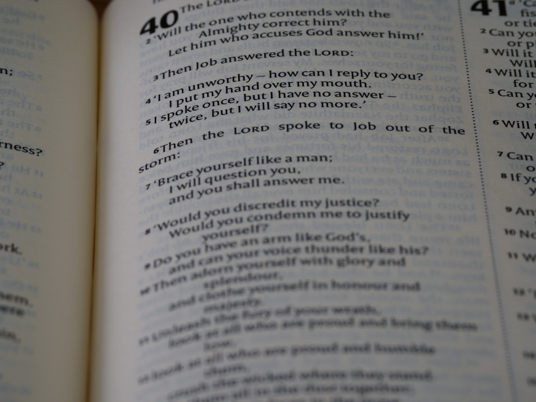 스픽 영어 왕초보 추천