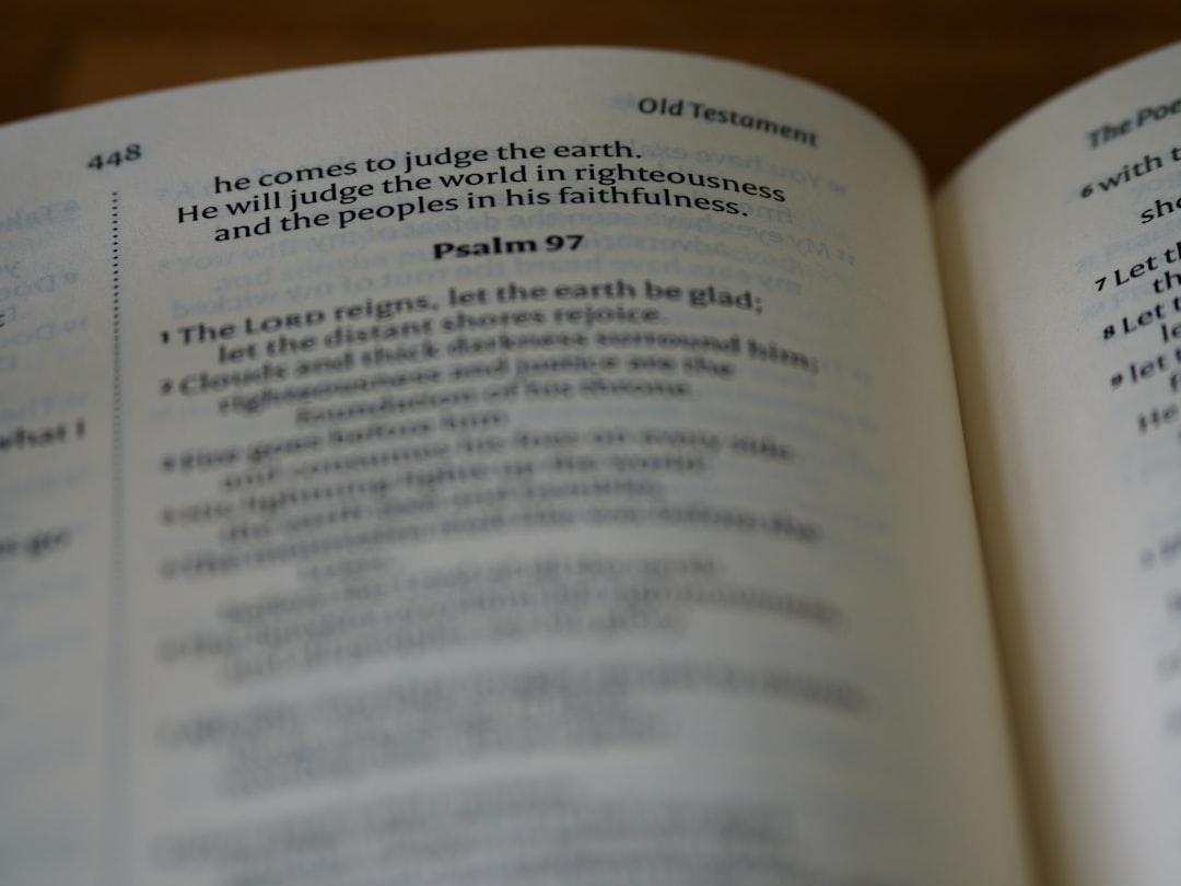 스픽 영어 취준생 추천